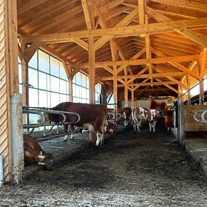 https://landgasthof-blasini-pfahlhof.com-bavaria.com